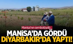 Manisa'da gördü Diyarbakır'a götürdü! Manisa'nın sembolüydü...