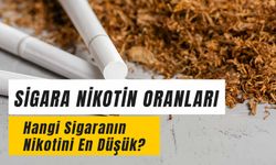 Sigara Nikotin Oranları: Nikotini En Yüksek ve En Az Olan Sigara Hangisi?
