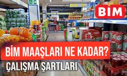 BİM Maaşları Ne Kadar Oldu? 2025 Yılında BİM Çalışma Şartları ve Ücretleri...