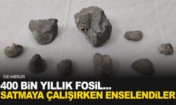 400 bin yıllık fosili satıyorlardı… Yakayı ele verdiler…