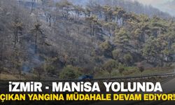 İzmir - Manisa kara yolunda meydana gelen yangına müdahale devam ediyor
