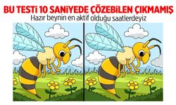 2 Resim Arasındaki 4 Farkı 10 Saniyede Çözebilen Çıkmamış…