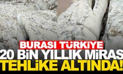 20 bin yıllık geçmişi var… Tehlike çanları çalıyor!