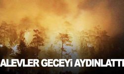 Ege’de alevler geceyi aydınlattı… Orman yangını kontrol altına alınamıyor!