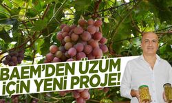 BAEM’in üzüm projesi çığır açacak!