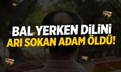 Bal yerken dilini arı sokan adam öldü