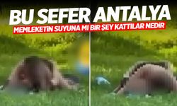 Bu Sefer Antalya... Uygunsuz Görüntüler Kameralara Yansıdı!