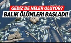 Gediz'de Neler Oluyor? Balık Ölümleri Başladı! Nehrin Rengi Siyaha Döndü!