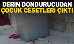 Kan donduran olay! Derin dondurucudan çocuk cesetleri çıktı