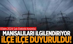 Manisa’da 11 ilçe Ekim’e elektrik kesintisi ile başlayacak! 1 Ekim 2024 Manisa elektrik kesintisi