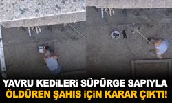 Manisa’da yavru kedilerin öldürüldüğü olayda karar çıktı!