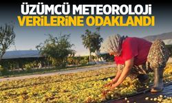 Manisalı üzümcü meteoroloji verilerini bekliyor!