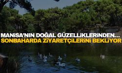 Manisa’nın doğal güzelliklerinden… Sonbaharda ziyaretçilerini bekliyor