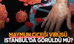 Maymun çiçeği virüsü İstanbul’da görüldü mü? Açıklama geldi!