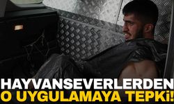 O uygulamaya hayvanseverlerden tepki!