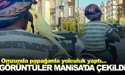 Omzunda papağanla yolculuk yaptı… O anlarda kameralar kayıttaydı!