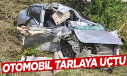 Otomobil tarlaya uçtu: 1 ölü, 3 yaralı