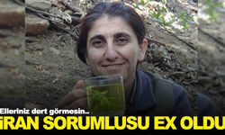 PKK’nın sözde İran sorumlusu ex oldu… MİT paketledi!