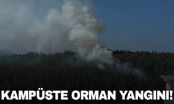 Samsun'da üniversite kampüsünde orman yangını!