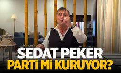 Sedat Peker parti mi kuracak? İşte o açıklama