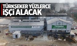 Türkşeker Yüzlerce İşçi Alacak! İşte Başvuru Şartları ve Kadrolar