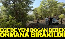 Yeni doğan bebeği ormana bıraktılar… 2 zanlı gözaltına