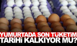 Yumurtada ‘Son tüketim tarihi’ kalkıyor mu? Yetkili isimden çarpıcı açıklamalar!