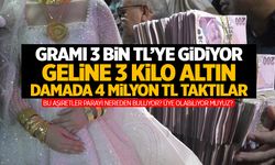 Yine bir aşiret düğünü... Geline 3 kilo altın, damada 4 milyon TL takıldı