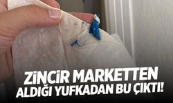 Zincir marketten aldığı yufkadan çıkan şey şaşırttı!