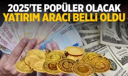 2025’te Altını Geçecek Yatırım Aracı Belli Oldu