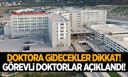 Manisa’da görevli doktorlar açıklandı! 30 Ekim 2024 Çarşamba görevli doktorlar