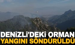 6 gündür yanıyordu… Denizli'deki orman yangını söndürüldü