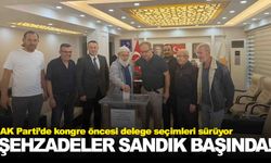 AK Parti’de delege seçimleri… Şehzadeler sandığa gitti