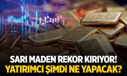 Altın Fiyatları Rekor Kırdı: Yatırımcı Ne Yapacak?