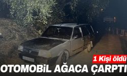 Aydın’da feci kaza! Otomobil ağaca saplandı: 1 ölü