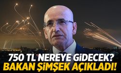 Bakan Şimşek 750 TL’nin Nereye Gideceğini Açıkladı!