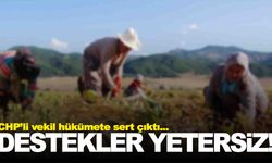 Çiftçinin aldığı destek borcuna yetmiyor!