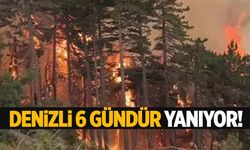 Denizli’deki orman yangını 6 gündür sürüyor!