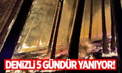 Denizli 5 gündür yanıyor!