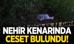 Edirne’de nehir kenarında ceset: Kesikler ve yanıklar tespit edildi