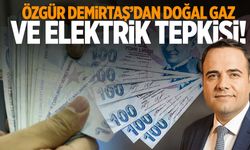 Elektrik ve doğal gaza neden zam yok? Özgür Demirtaş açıkladı!