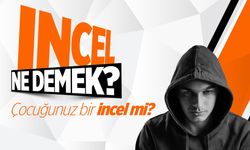 Incel Ne Demek? Kime Incel Denir? Incel Grubu Nedir? Çocuğum Incel Mi?