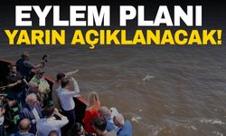 İzmir Körfezi balık ölümleriyle mücadele ediyor! Eylem planı yarın açıklanacak