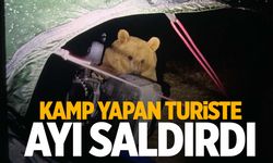 Kamp yapan turiste ayı dehşeti! Ayı saldırısına uğradı!