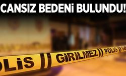 Kayıp olarak aranıyordu… Cansız bedeni bulundu