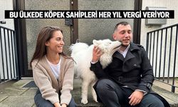 Köpek vergisini ödemeyenlere 10 bin euro ceza