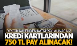 Kredi Kartları ve bazı kalemlerden katkı payı alınacak!