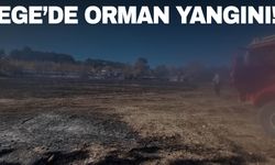 Kütahya'da anız yangını rüzgarın etkisiyle ormana sıçradı