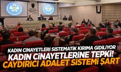 Manisa Büyükşehir Meclisi'nde kadın cinayetlerine tepki!