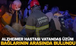 Manisa’da Alzheimer hastası vatandaş üzüm bağlarının arasında bulundu